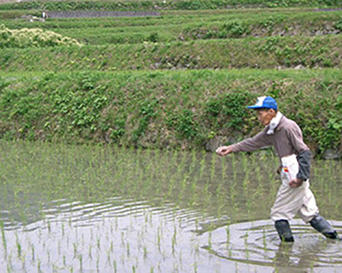 除草剤を撒く人