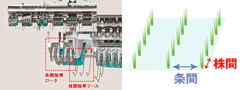 多目的田植機の構造と条間と株間