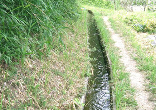 溜池からの水路