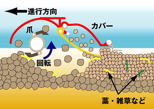 代掻きの様子