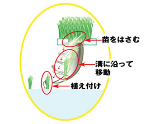 田植機の構造