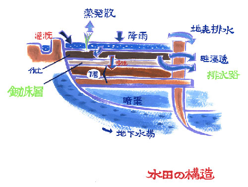 田んぼの構造