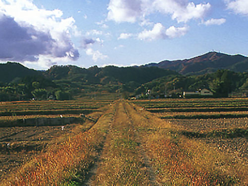 田園風景